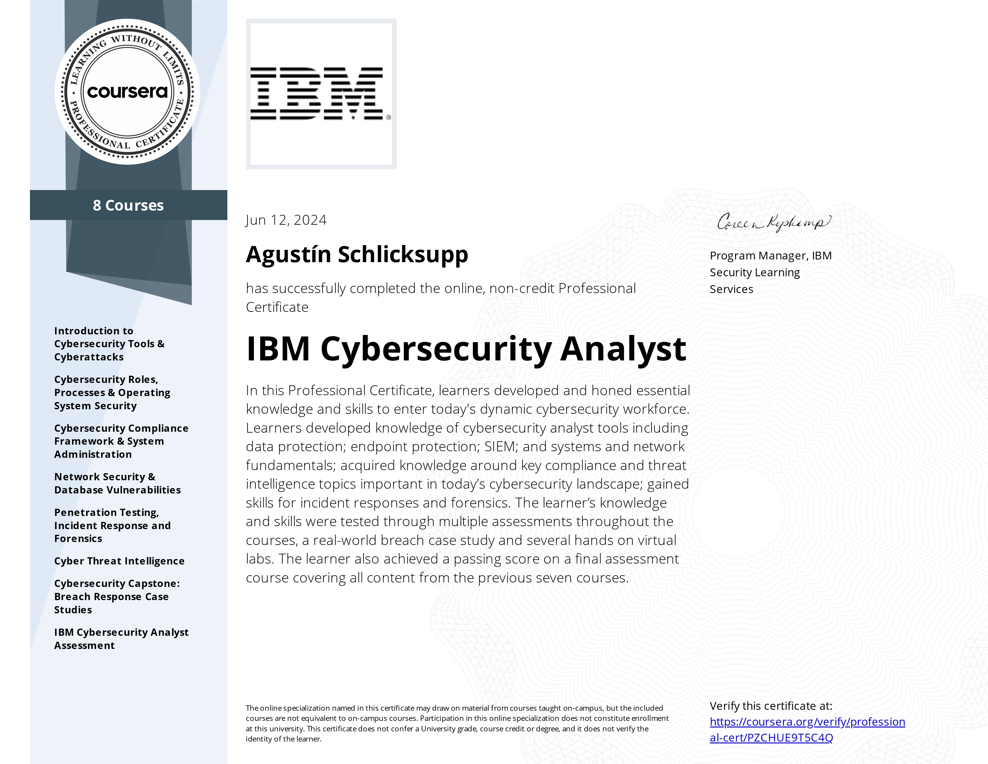 IBM Analyst